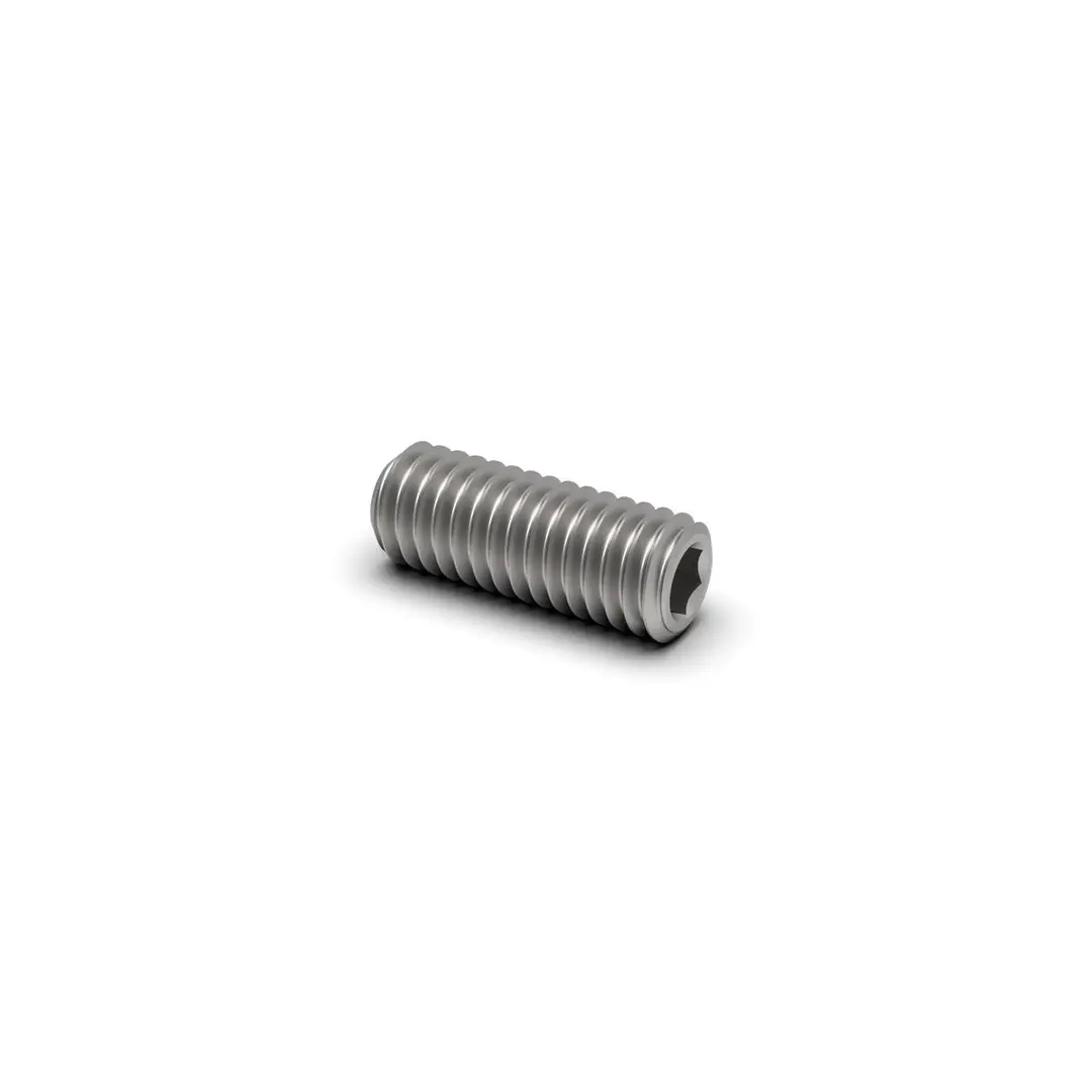 Hex Drive Flat Point Socket Set Screw (Stainless Steel)